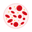 Anemia