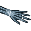 Bone