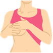 Breast