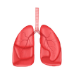 _Lungs