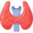 Thyroid